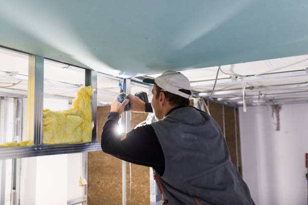 Best Blown-in Insulation in Murrieta, CA
