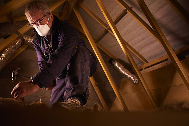 Best Cellulose Insulation in Murrieta, CA